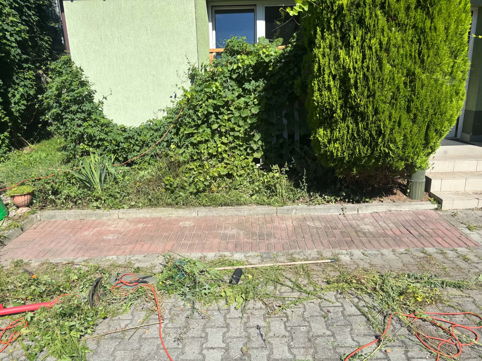 Odchwaszczanie kostki brukowej — po